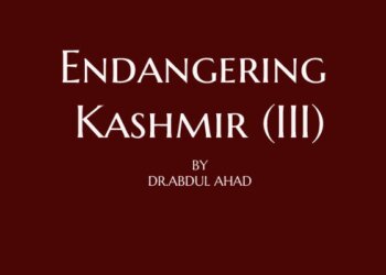 Endangering Kashmir (III)