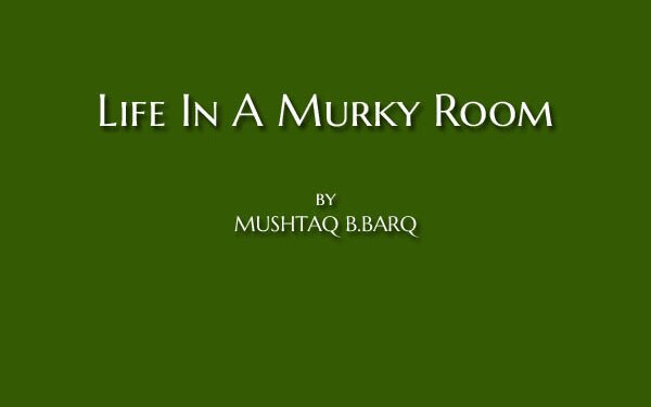 Life In A Murky Room