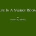Life In A Murky Room