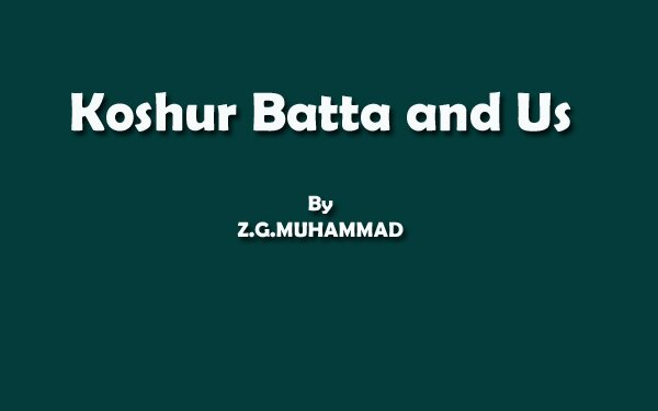 Koshur Batta and Us