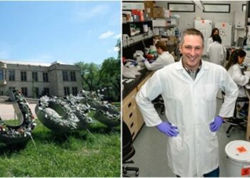 Canada’s First Coronavirus Vaccine Made In Saskatchewan Is Now In Testing Stages