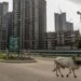 India’s ‘Ghost Towns’ Saddle Middle Class With Debt and Broken Dreams