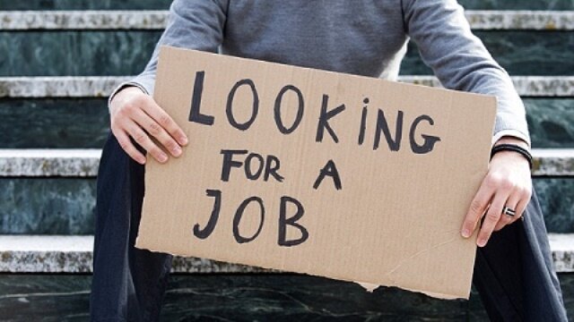From job givers to job seekers, local entrepreneurs land in lurch
