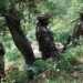 Chhattisgarh encounter: Bodies of 17 missing cops found