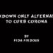 Lockdown only alternative to curb Corona.
