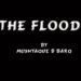 The Flood(I)
