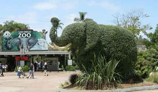 ‘Curb people’s movement in national parks’