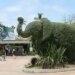 ‘Curb people’s movement in national parks’