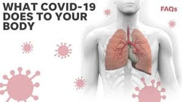 10,000 dead of coronavirus in USA, more fatalities than six wars combined