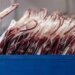 Coronavirus: low antibody levels raise questions about reinfection risk