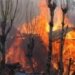 Sopore Gunfight: House where militants were hiding catches fire