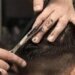 Coronavirus lockdown woes: Need haircut? Do it yourself or wait