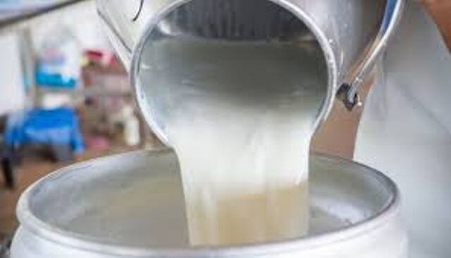 UP: Man shoots son, kills self over dispute on consumption of milk