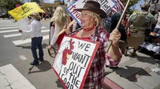 Protest erupts against coronavirus lockdown in America