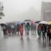India to receive normal monsoon, forecasts IMD