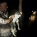 Turkish city to launch initiative to feed stray animals with leftover food