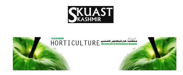 Spray as per SKAUST schedule: Horticulture Deptt to growers