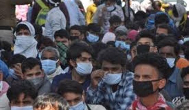 Stranded workers to be employed near camps from Monday