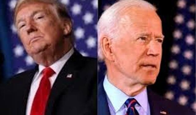 With Sanders out, US presidential race intensifies with Trump-Biden