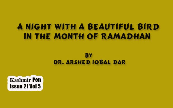 A Night With A Beautiful Bird In The Month Of Ramadhan