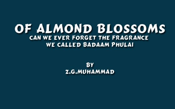 Of Almond Blossoms