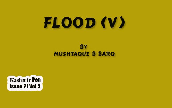 Flood (v)