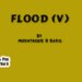 Flood (v)