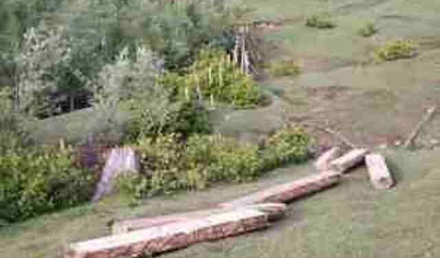 Illicit timber seized in Kanimulla Kangan Ganderbal