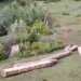 Illicit timber seized in Kanimulla Kangan Ganderbal
