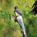 Body of youth found under mysterious circumstances in Kupwara