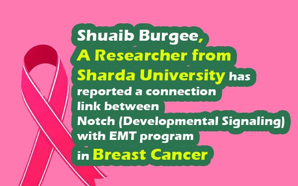 Shuaib Burgee, A researcher from sharda university has reported a connection link between Notch (developmental signaling) with EMT program in breast cancer