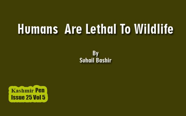 Kashmiri Mystic  Poetry: Some  Recurring Themes