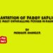 Implantation of Paddy Saplings ; The Most Enthralling Period in Kashmir