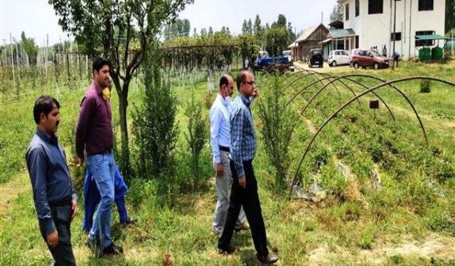 Director Horticulture takes stock of developmental activities in Kupwara
