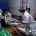 Mexico tops 35,000 deaths, 4th highest toll