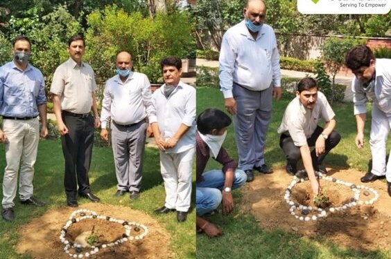 J&K Bank observes Van Mahotsav Week in Jammu