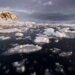 ‘World could hit 1.5-degree warming threshold in 5 yrs’