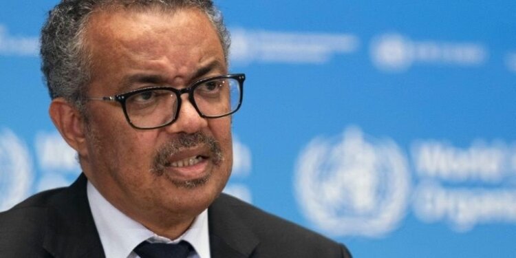 Pandemic could be over within 2 years: WHO
