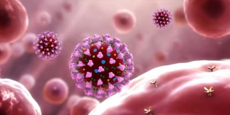 ‘Many animal species may be vulnerable to coronavirus’