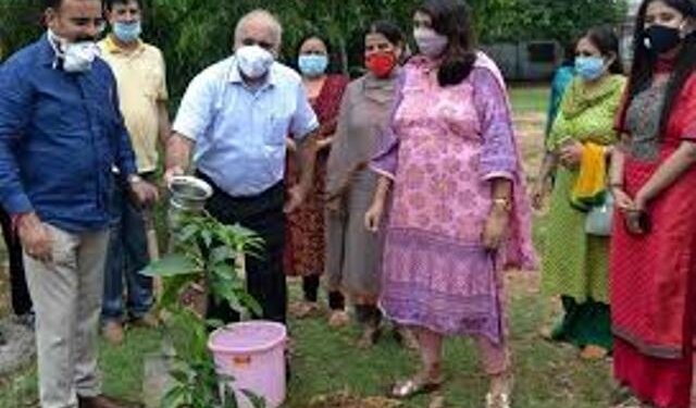 DG Accounts & Treasuries inaugurates plantation drive