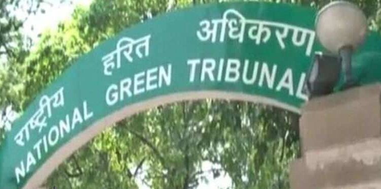 NGT seeks report on compliance of norms in respect of wetlands