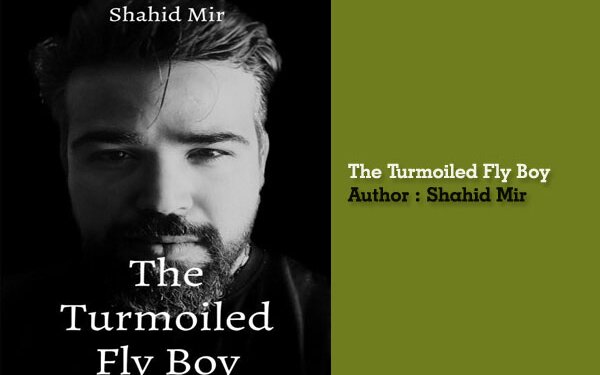 The Turmoiled Fly BoyReviews by Readers