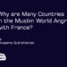 Why are Many Countries in the Muslim World Angry with France?