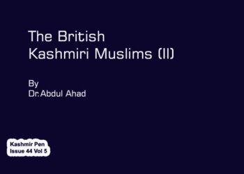 The British Kashmiri Muslims (II)