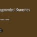 Fragmented Branches