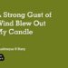 A Strong Gust of Wind Blew Out My Candle
