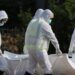 Unmarried Men At Higher Death Risk From Covid-19 : Study