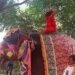 Ramdev, Mid-Yoga, Falls Off Elephant, Is Not Injured