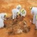 12 unidentified bodies found in Libya mass graves