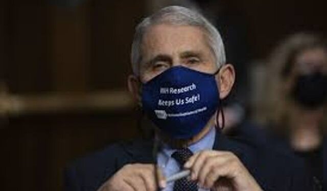 Avoid large gatherings without masks: Dr Fauci